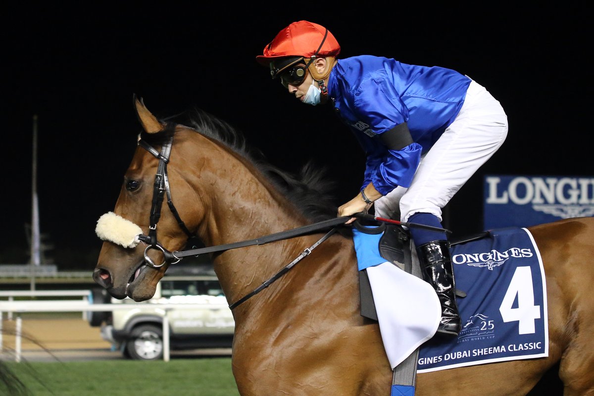 Godolphin tweet media