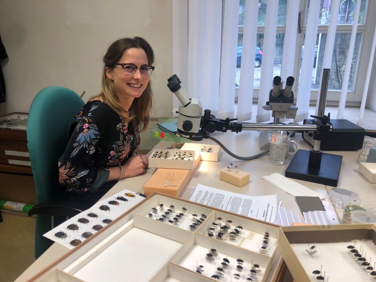 Mnhnlzoology Mnhnlzoology Twitter Mnhnlzoology Mnhnlzoology Twitter