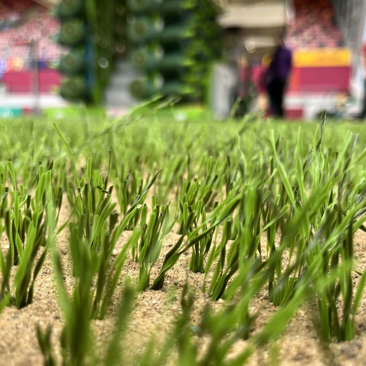 ireland_sis's tweet photo. SISGRASS stitching has started at Thomond Park, and we are delighted to be installing at the home of Munster Rugby.

Thomond Park ✅
Pairc Ui Chaoimh ✅
Aviva Stadium ✅

For more information please get in touch:
https://t.co/LvNFxb87Eb https://t.co/WURJti2Tw6