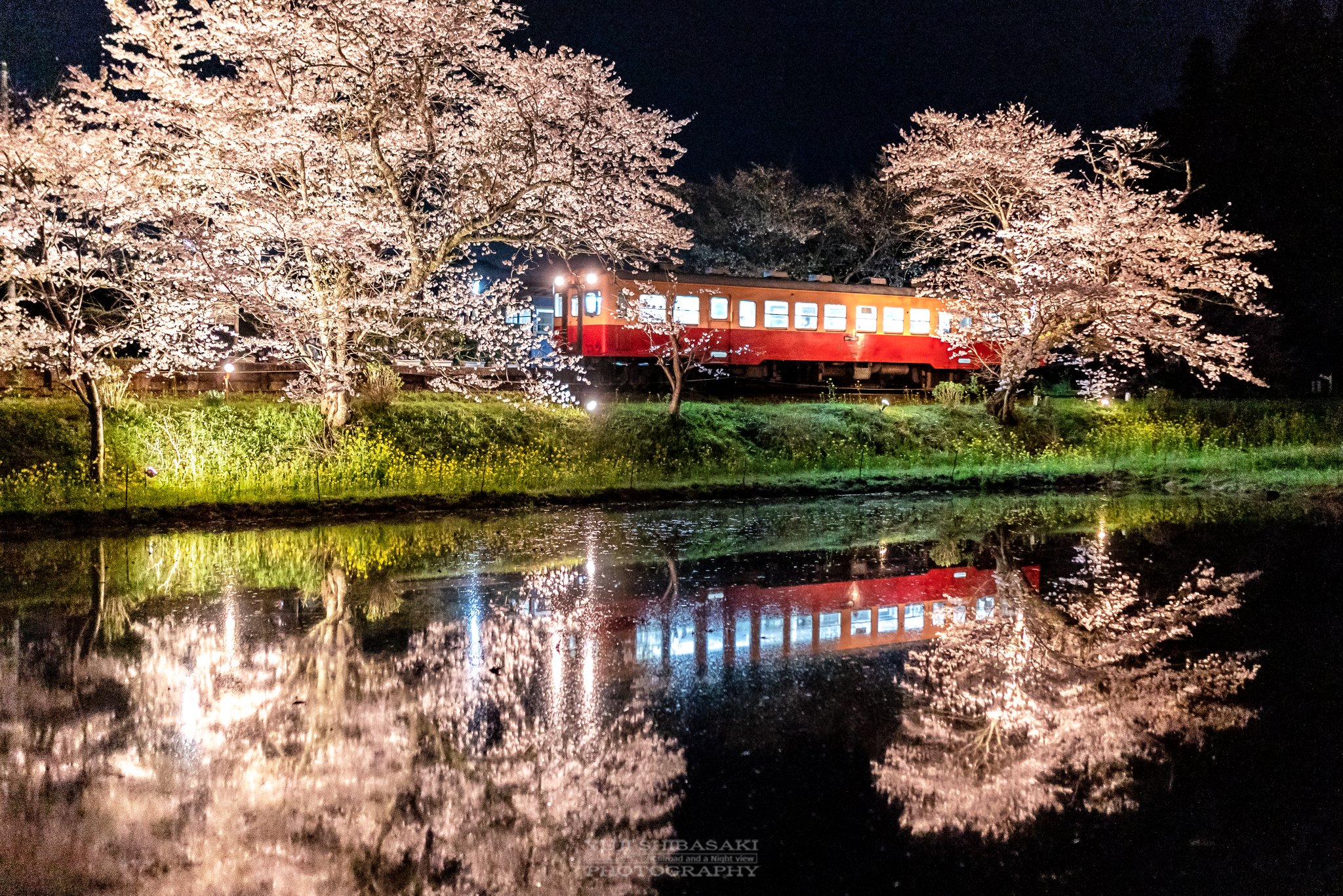 千葉県民の日 Twitter Search Twitter