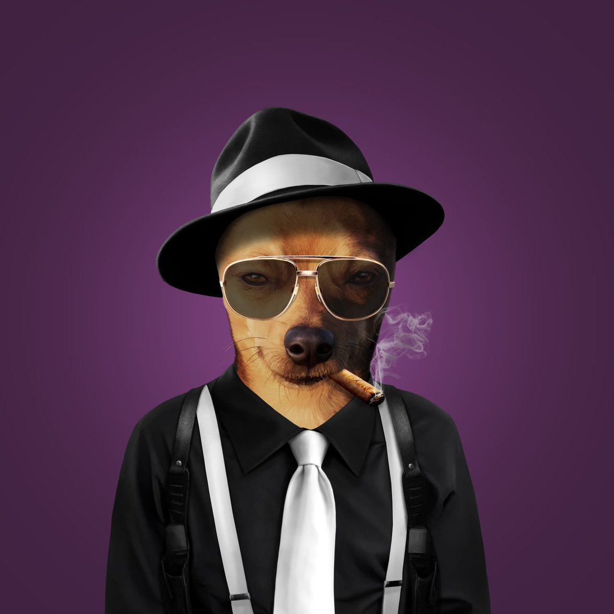 “I’m gonna make him an offer he can’t refuse” #CNFTCommunity 
#CNFT #CNFTs #ADA #Cardano 

discord.gg/KvzCeFHZ