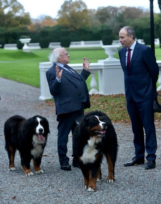 spochadoir's tweet image. ‘Too fucking political, am I Micheál?’