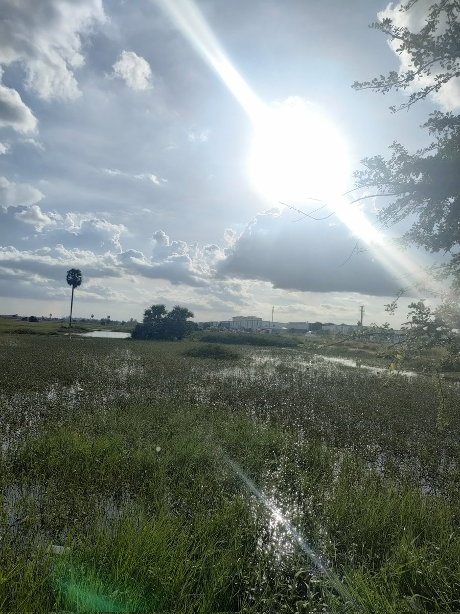 ឈូកវា៉២យើងនិង