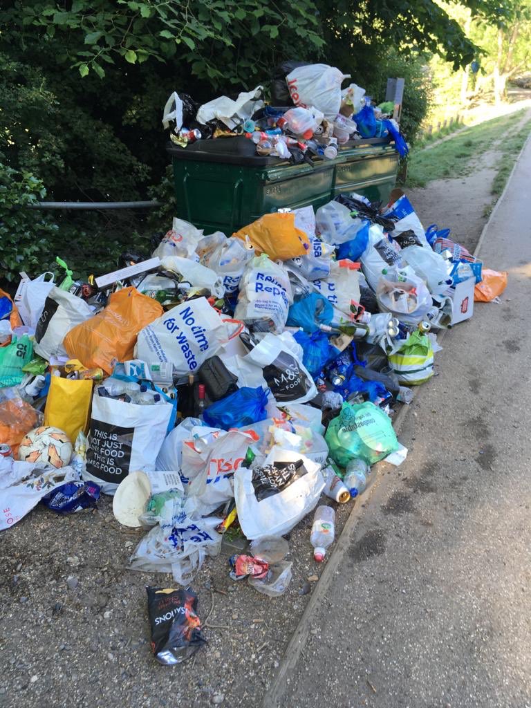 CityCorpHeath's tweet photo. With some warm days ahead please help us avoid scenes like this. Do your bit and take your litter home and recycle ♻️ where possible. Help us keep the #Heath and the planet clean 🌎💚 https://t.co/V00ByYLhci