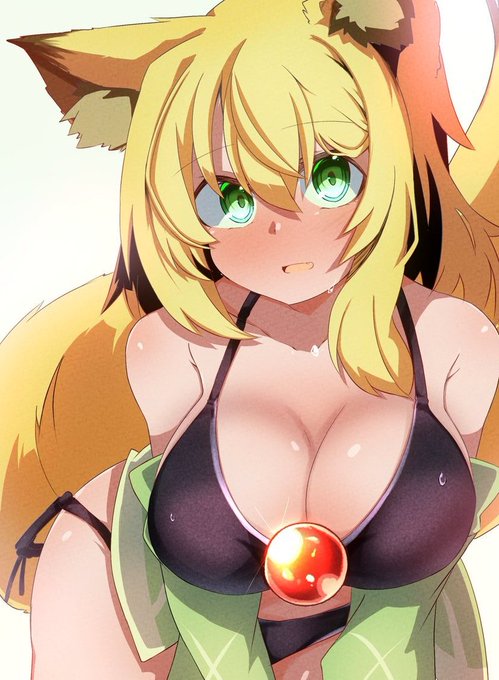 ほぼ毎日うちの子
403枚目 翡翠

けもみみが生える薬を飲んで水着を着ていただいた 