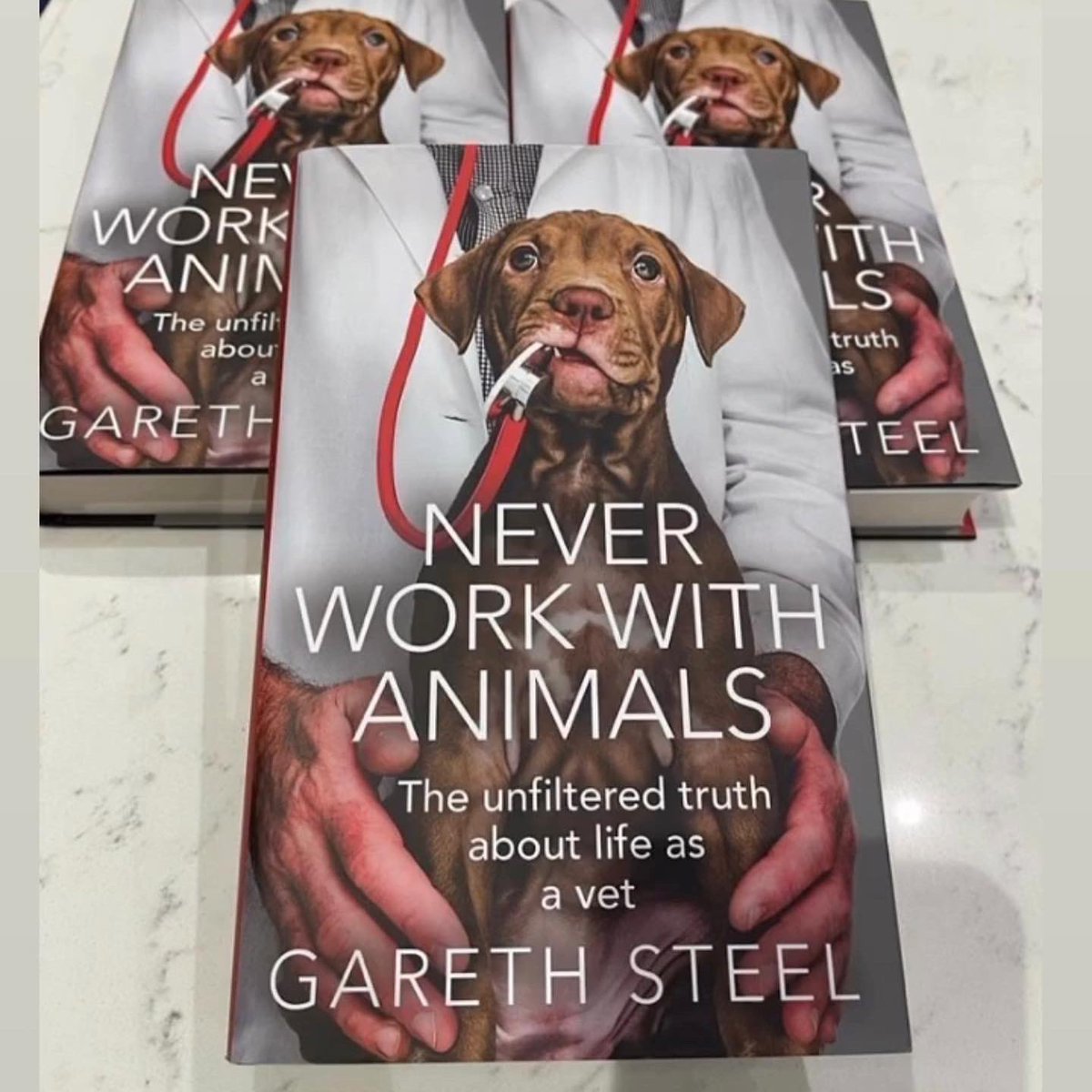 garethsteel1's tweet photo. @SeanWensley @Vet_Sustain I have covered this in #neverworkwithanimals The continued breeding of animals who are condemned to a life of struggling to breath is immoral. It’s nothing more than vanity transmitted into another species. We can do better.
@BritishVets #BreedToBreathe https://t.co/OtpRNgC7xL