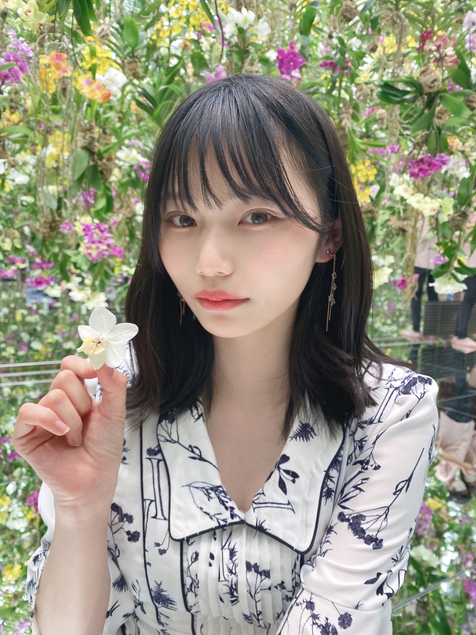 乃木坂46 on X: 