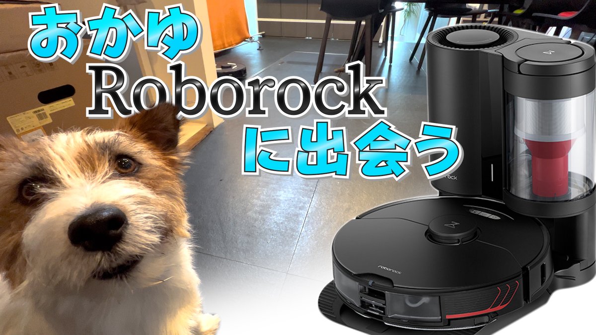 このロボット掃除機が凄い！今日の動画はこちら➡ロボット掃除機（Roborock）vsおかゆ（犬）が可愛すぎた youtu.be/ACwuRgS_J7U <a href="/YouTube/">YouTube</a>
#ロボット掃除機 
#Roborock