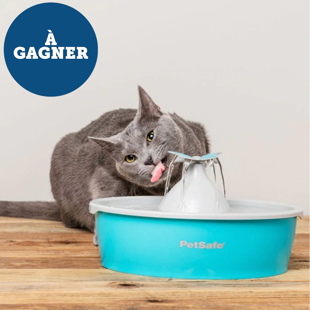 PetSafe® France tweet media