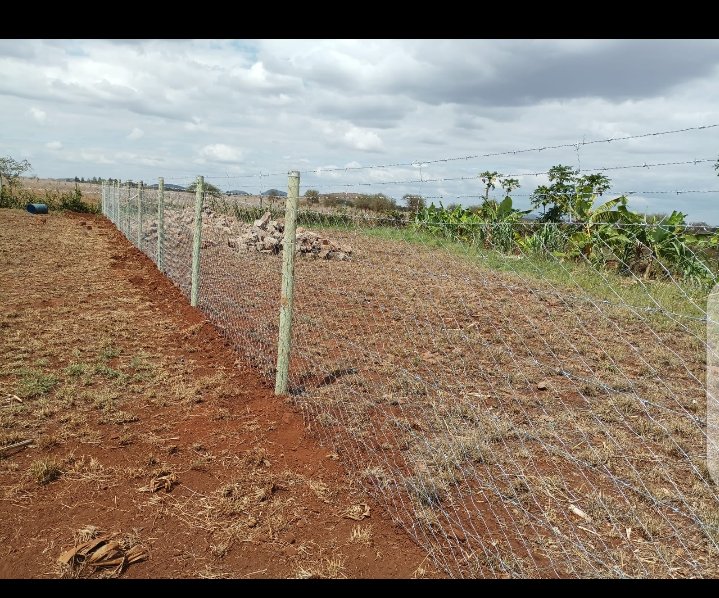 YardEnterprises's tweet photo. Contact us for all your fencing solutions.
We install barbed wire, chain link and privacy fences.
Call/WhatsApp 0724608401. https://t.co/kQulcv7SKI