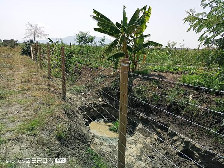 YardEnterprises's tweet photo. Contact us for all your fencing solutions.
We install barbed wire, chain link and privacy fences.
Call/WhatsApp 0724608401. https://t.co/kQulcv7SKI