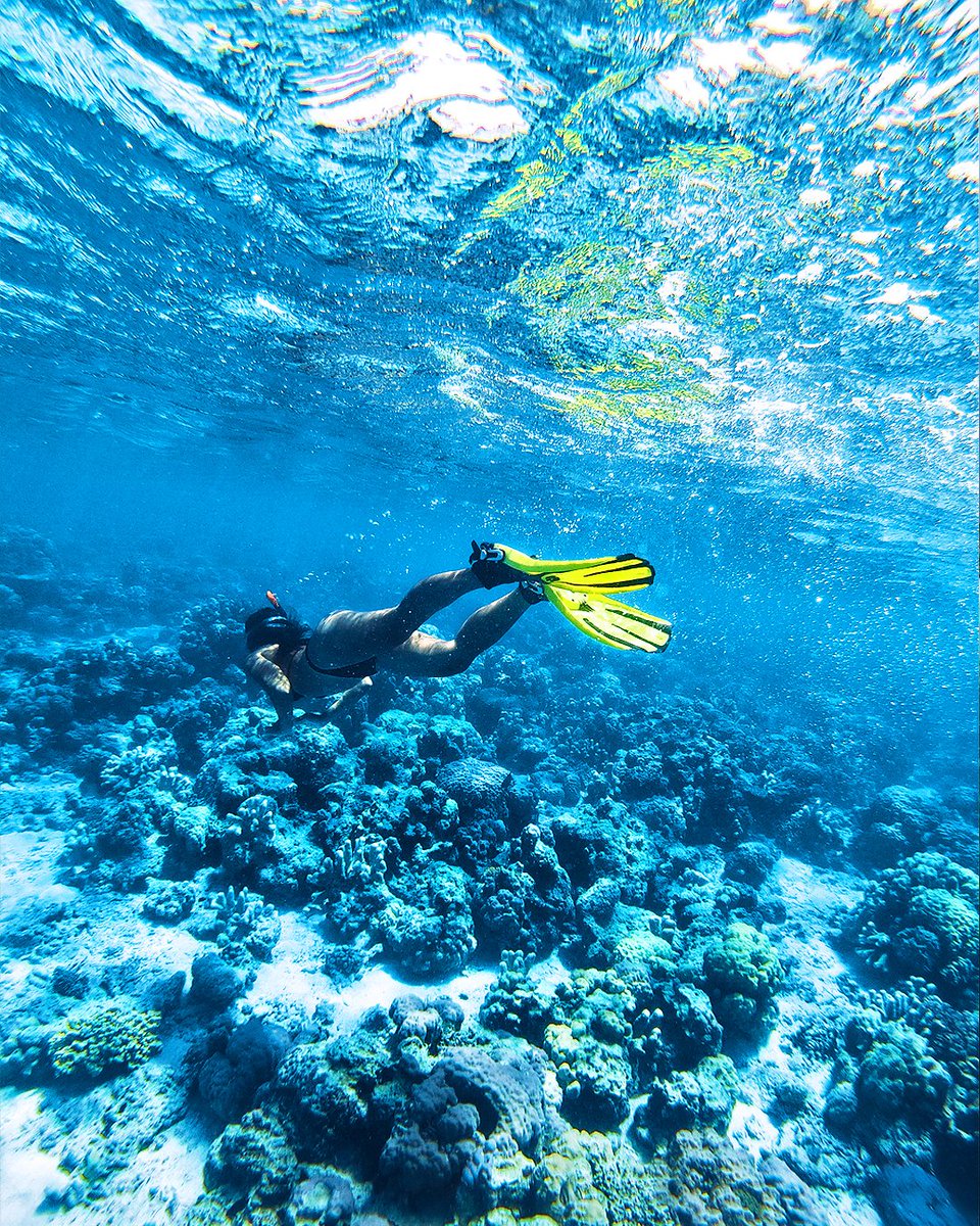 Underwater 🤿

- - -
#AileenInThePhilippines #travelstoriesph #filipina #filipinablogger