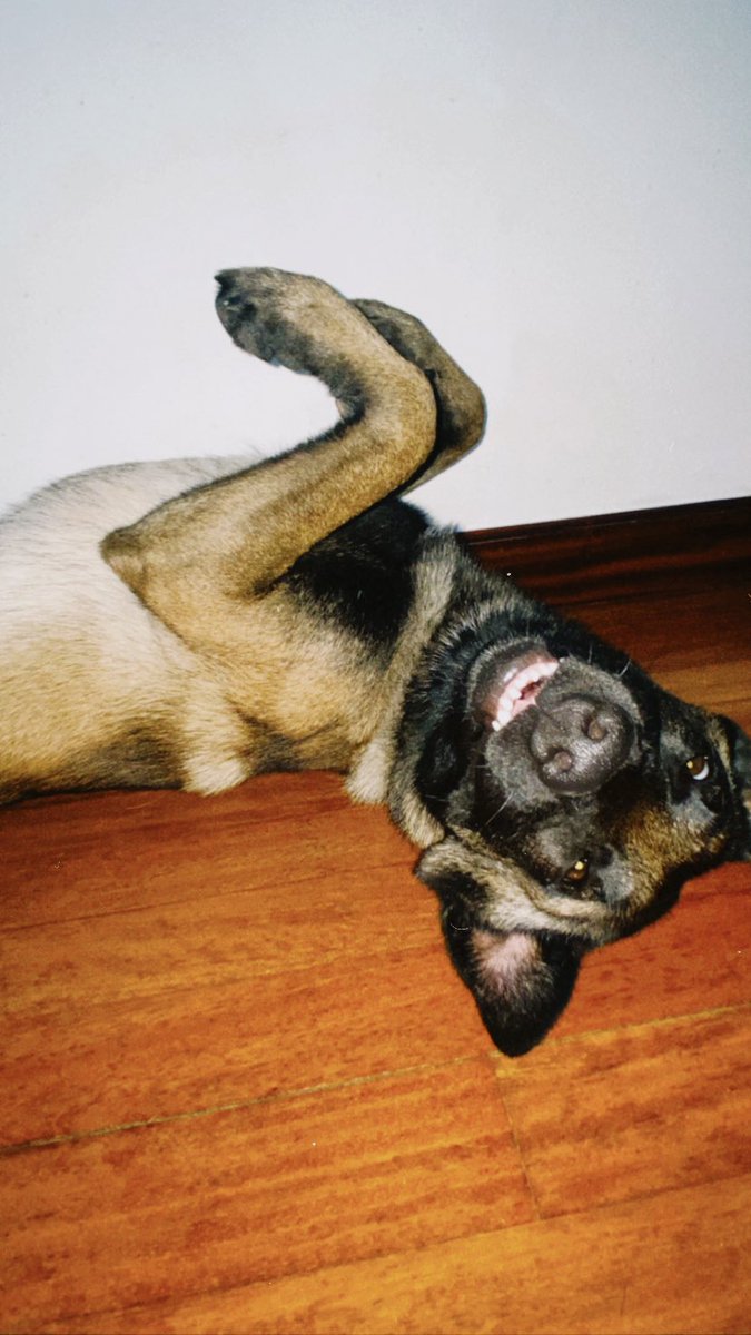 y q hagoo yo con esta cosaaa tan bonitaaaaaaaaa🫶🏽🫶🏽🫶🏽🫶🏽🫶🏽🫶🏽🫶🏽