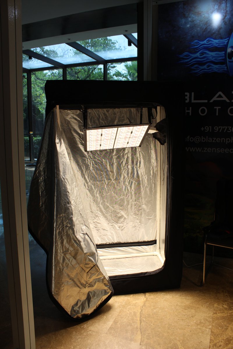 NightHawk shining like a sun in our total black out tent.
#verticalfarm #verticalfarming #hydroponics #urbanfarming #indoorfarming #urbanfarm #microgreens #vegan #agriculture #farming #horticulture #verticalgarden #hydroponic #sustainability #hydroponicsystem #eatlocal #agtech