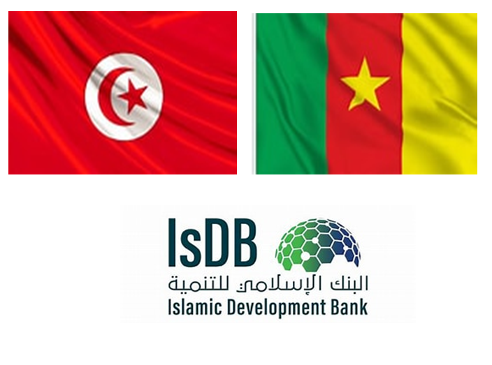 ATCTunisie's tweet photo. Visite d’études en Tunisie d’une délégation camerounaise du @diplocam_minrex et @MinepatCameroun pour s’inspirer de l’expérience de #l’ATCT en matière de #Cooperation SudSud et #Cooperation Triangulaire avec l’appui de la #IsDB
https://t.co/eXDaZfrdnp https://t.co/sjR6V4KEuD