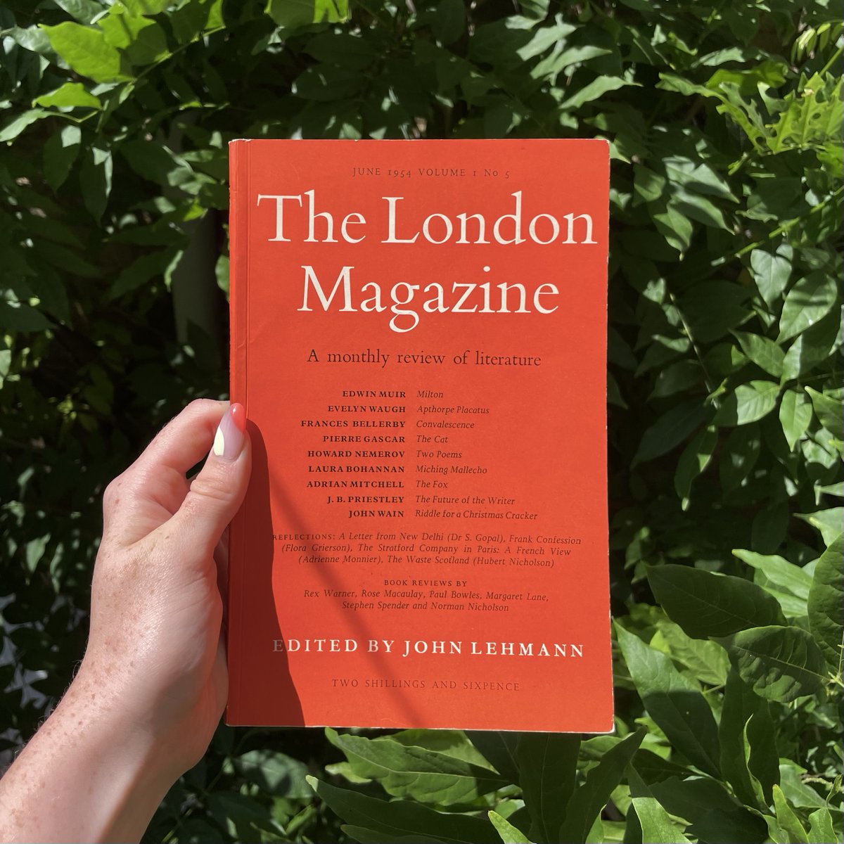TheLondonMag's tweet photo. 'A fox among the shadows of the town
Should I surrender to the arms of man?'

From the archive, 'The Fox' by #AdrianMitchell, as published in the June 1954 issue of The London Magazine. 

Read the full poem here: https://t.co/Dn2zO9P76a https://t.co/iO12msTjY4