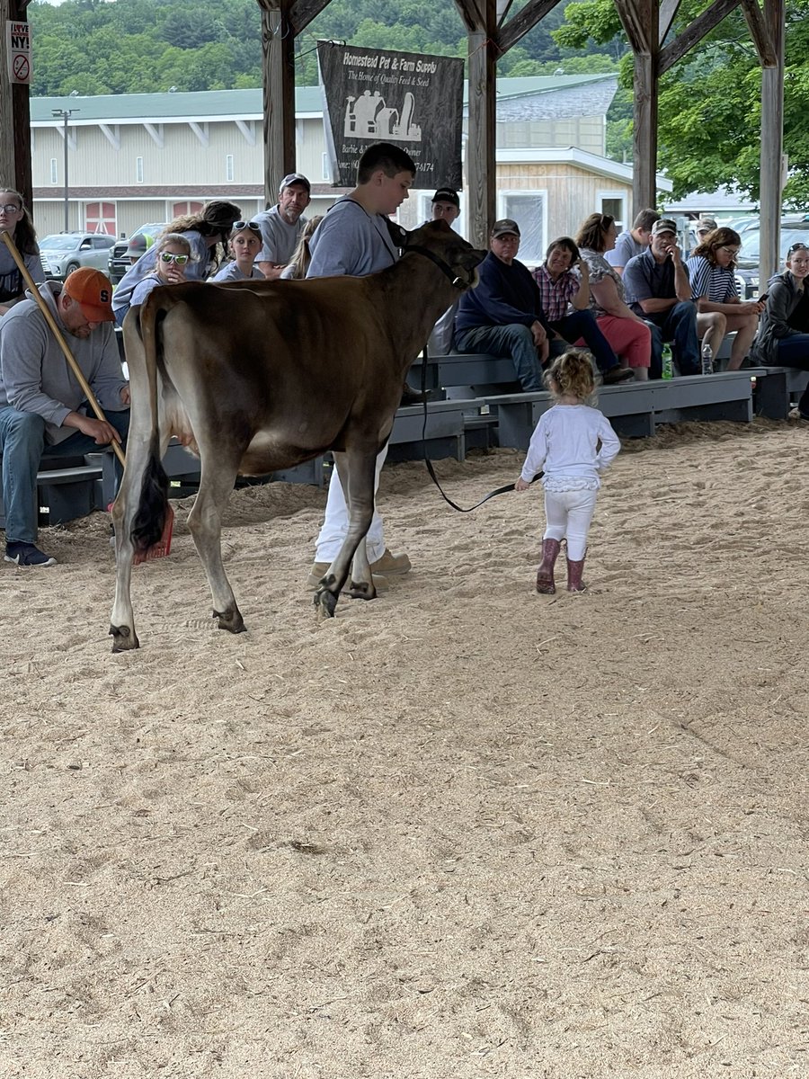 qwan17's tweet photo. This little girl is learning about where food comes from and how to take care of animals. The teenager is learning how to share his knowledge, teaching and patience. Agriculture education is so much more than cows, and plows. It is life skills wrapped in project based learning. https://t.co/ig0hgOal9q