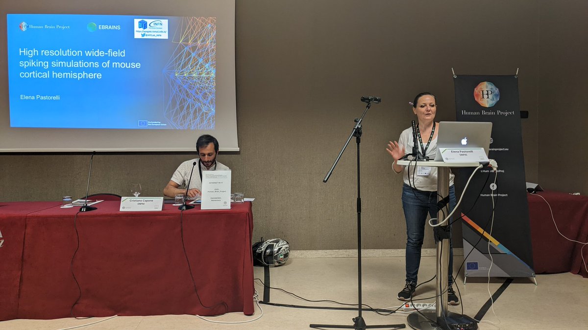 APELab_INFN's tweet photo. Elena Pastorelli talking and Cristiano Capone chairing at #BASSES 🤩👍
"High resolution wide-field spiking #simulations of mouse cortical hemisphere"

#HBP #EBRAINS #NEST #NESTGPU #GPU 
(...from #Data to #MeanFieldModels to #SpikingSimulations... and #DataAnalysis #CoBraWAP) https://t.co/BpzJVjPxEX