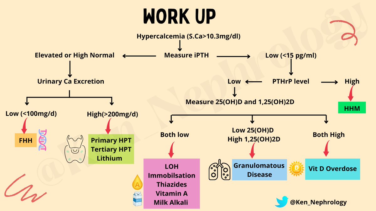 Ken_Nephrology's tweet photo. #KenMakesNephrologyEasy
#KenEasyNotes
#KENSeries

🦴 Hypercalcemia https://t.co/m1QeFF5T9J