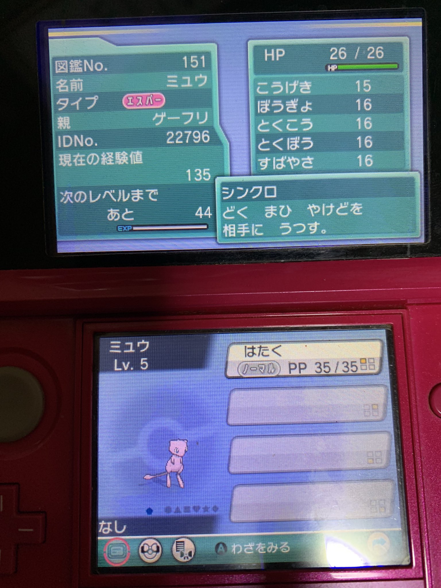 メイプル 中古のアルファサファイア買ったらゲーフリのミュウと色違いコドラいた T Co N7dae8oxxq Twitter