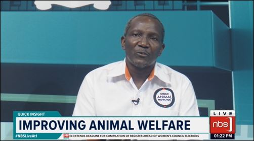 Research findings released by the World Animal Protection have laid bare the most damaging human health impacts linked to industrial livestock production systems. 

#NBSLiveAt1 #NBSUpdates