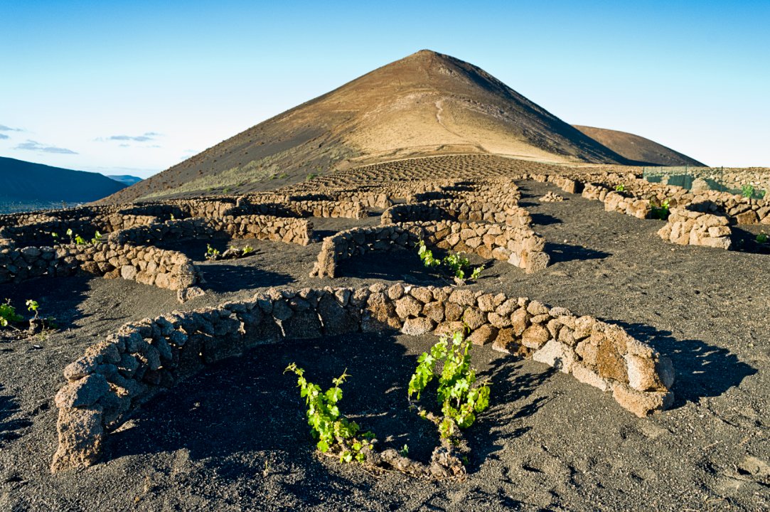 Canaryfly_'s tweet photo. ¿Sabes lo que es el #Enoturismo? Si tu respuesta es no, te aconsejamos consultas a #SanGoogle por la Ruta del Vino de Lanzarote. Si tu respuesta es si, conectamos la isla de los Volcanes 7 veces al día 😉 ¿Nos vamos? #DestinoFly https://t.co/xHcTyBBXlY