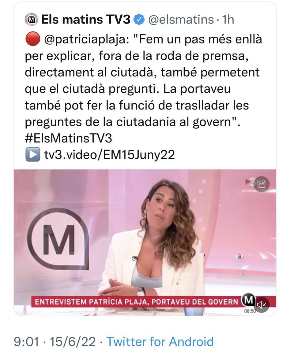 Anna Punsí tweet media