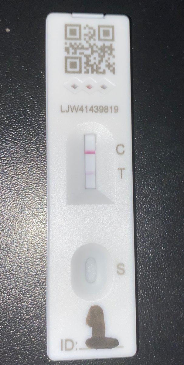 Lloyd Warburton🏴󠁧󠁢󠁷󠁬󠁳󠁿🇺🇦 tweet media