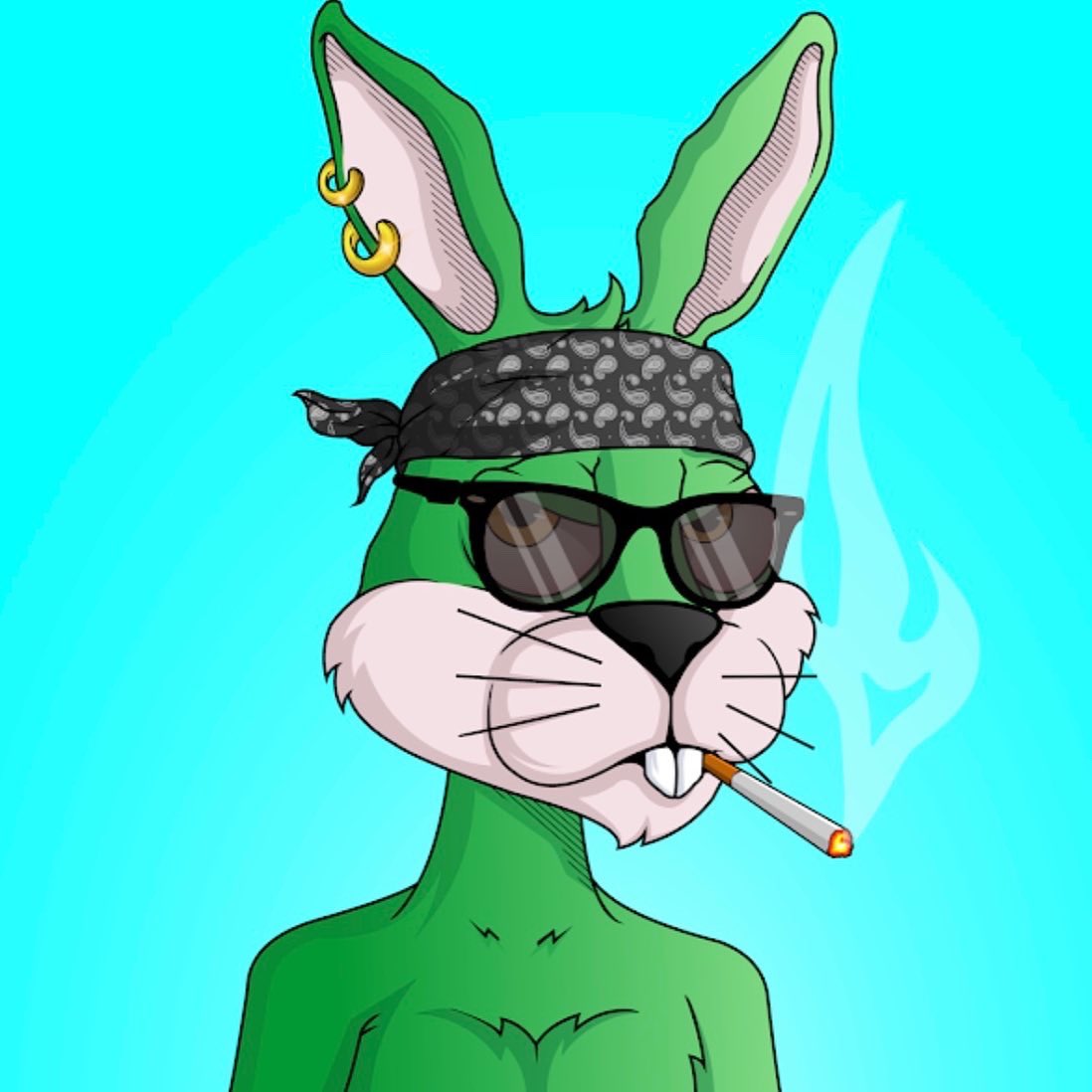 bigmacjacketh's tweet photo. @nftjakey @BunniesNHomies 🐰 🥕 https://t.co/u1p6bwCoUm