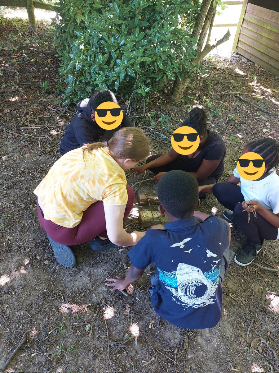 LaycockPrimary's tweet photo. #LaycockYearSix are working hard in their teams to make campfires at #Cardfields https://t.co/uqAsxsXYmy