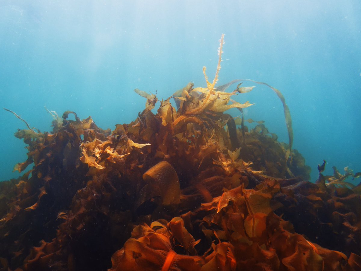 K Miguel Urquizo Richmond tweet media