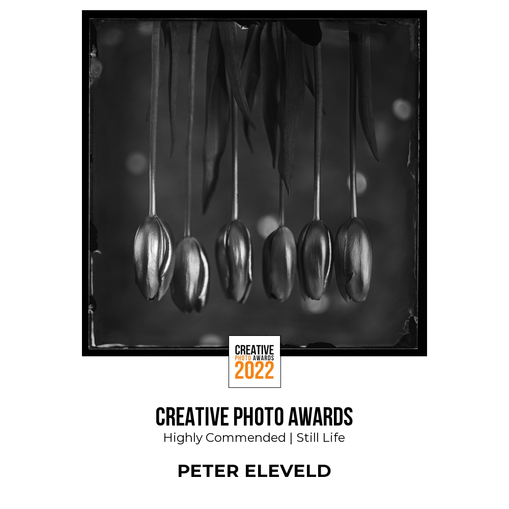 PeterEleveld's tweet photo. Very happy with the 2 prizes won in the Siena Creative Awards 2022 in the Still Life section!
#sienawards #sienaawards2022 #creativephotoawards2022 #photocontest  #wetplatecollodion @rtvoost https://t.co/2luHiFQCmJ