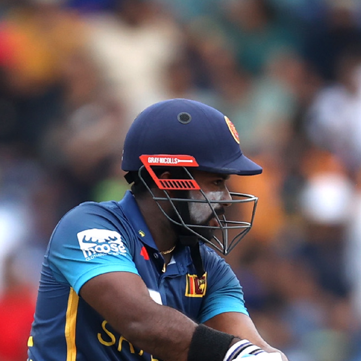 graynics's tweet photo. We are delighted to welcome Sri Lanka's Charith Asalanka as our first Helmet Ambassador, using our helmet in all international cricket.

"Ever since representing SL U19 I’ve always sported Gray-Nicolls. It’s been a vital component of my gear. Today it’s almost part of my DNA!" https://t.co/vjarIuKFFZ
