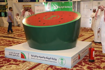 الصورة