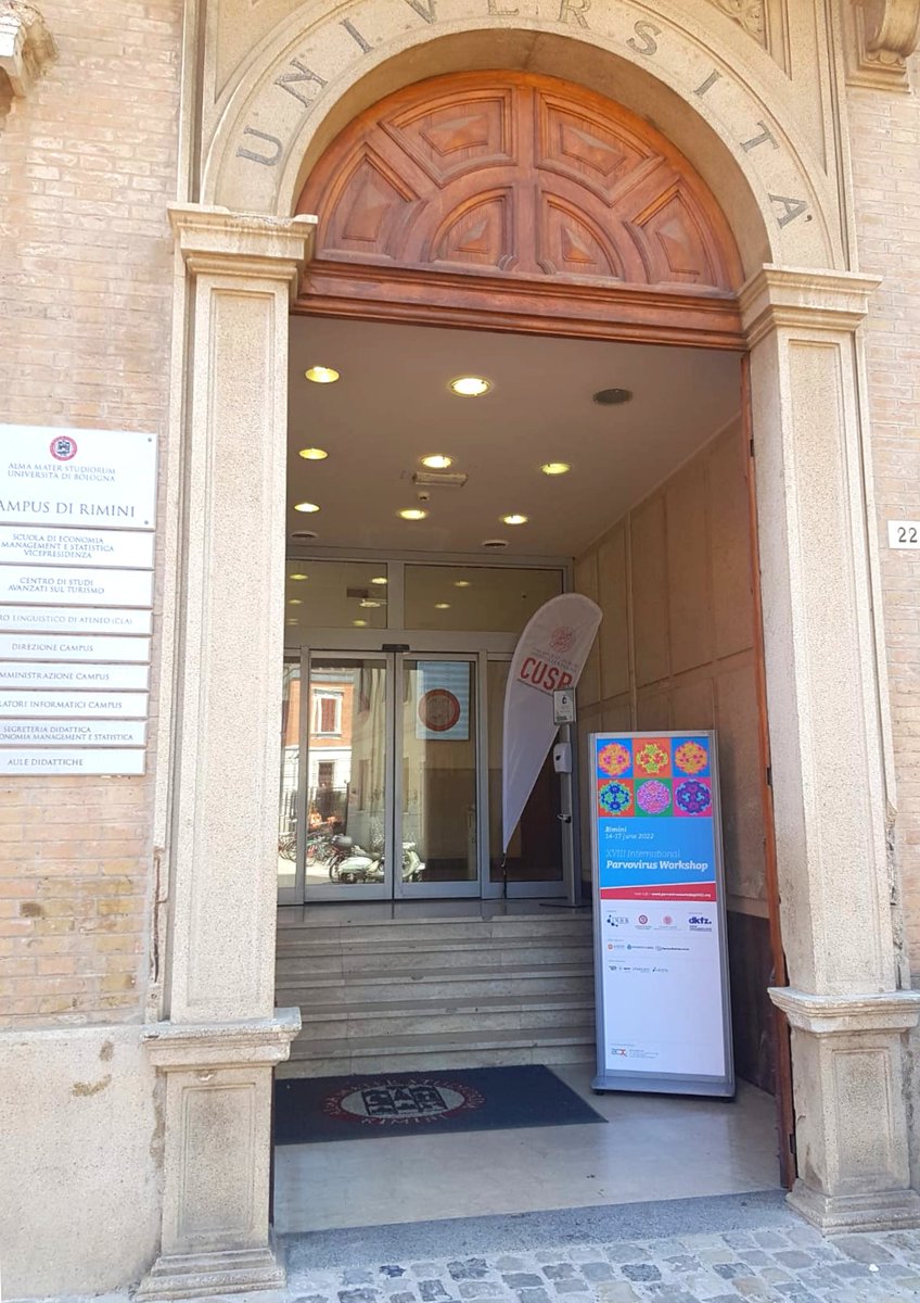 Adria Congrex Srl tweet media