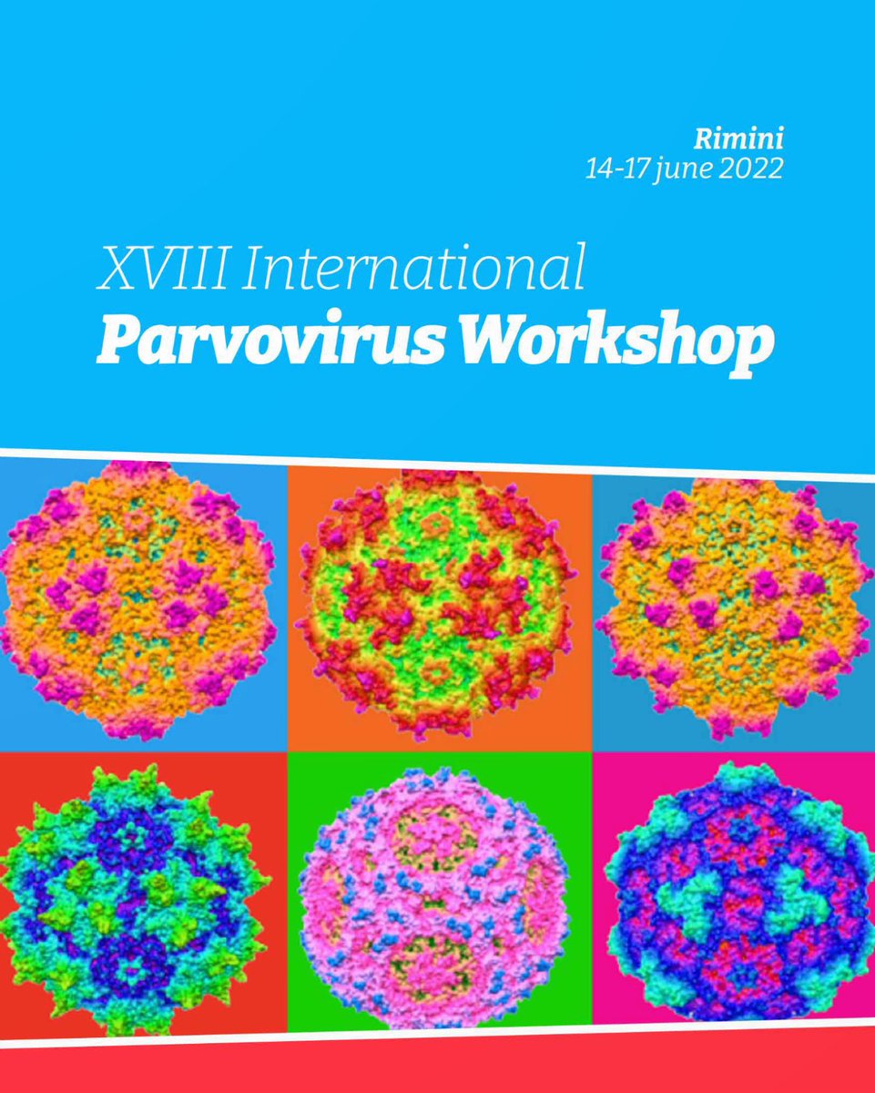 Adria Congrex Srl tweet media