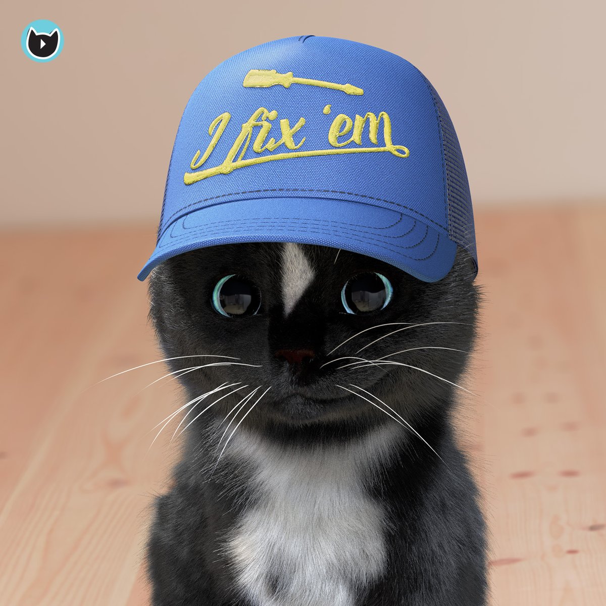 FeliniRocks's tweet photo. If it ain't broke, don't fix it - and if it's broke...I fix 'em! 
#kittycat #kitty #lolpets #funny #CatsOfTwitter #CatsOnTwitter https://t.co/6E8pSESVVS