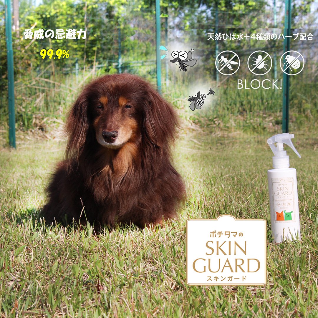 تويتر مشاهدة تغريدة Chiyopet Chiyo في ١٥ يونيو ٢٠٢٢ على Twitter