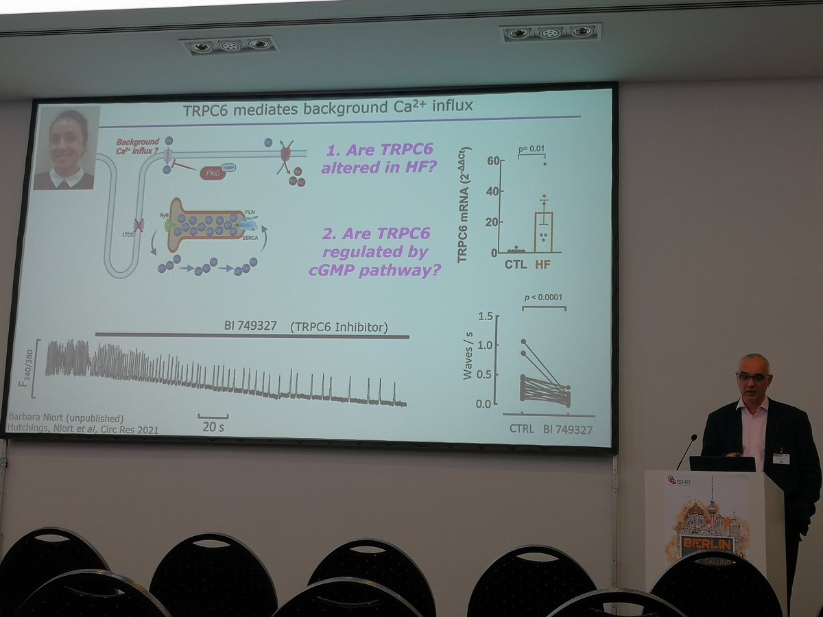 MappingLab tweet media