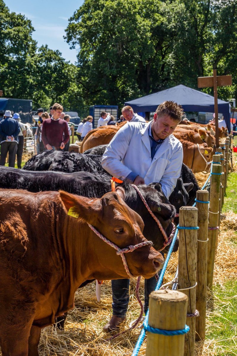 Not long now until #showday on Saturday 2nd July. Beat the queues and buy tickets online at : ticketsales.events.justbookitnow.com/d5XBnKxVFXPwgT…