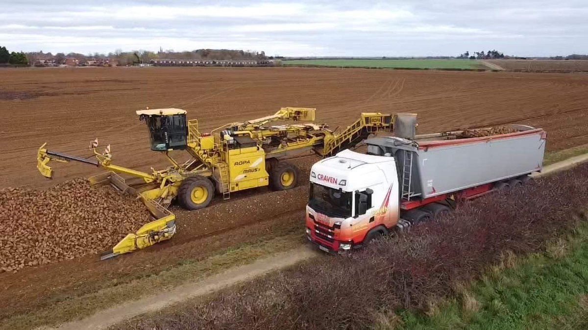 Tom Craven tweet media