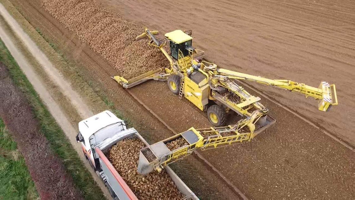 Tom Craven tweet media