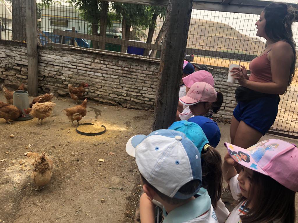 gsdalcala_dir's tweet photo. Seguimos disfrutando de nuestra visita a la Granja @LaEsgaravita1 #infantil #nivel3 https://t.co/BvWaIXG6TX