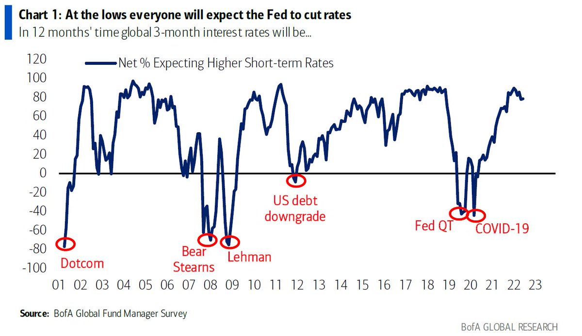 In the next 12-months, interest rates will be lower than they are currently.