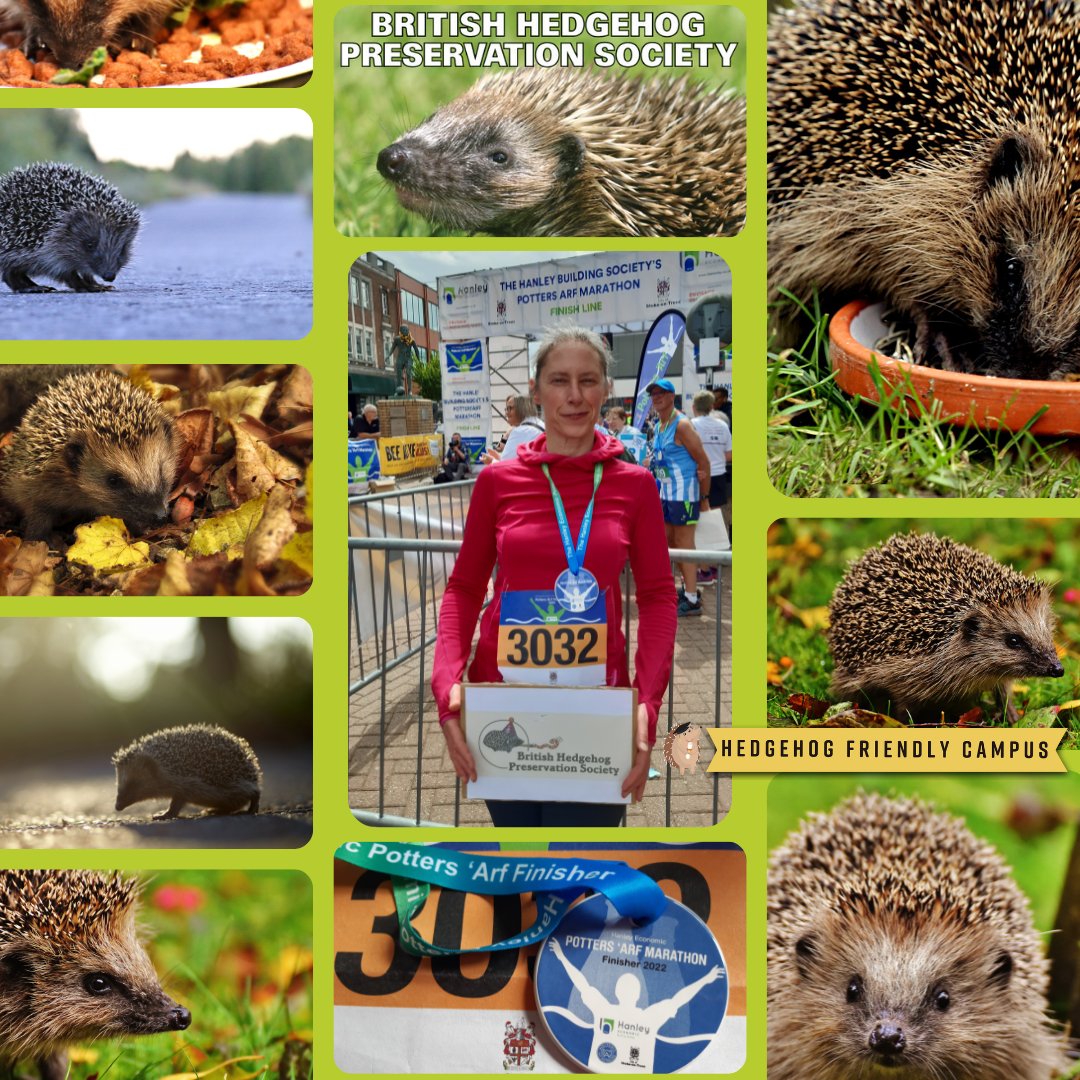 Green:Keele 🌱 Root & Branch tweet media