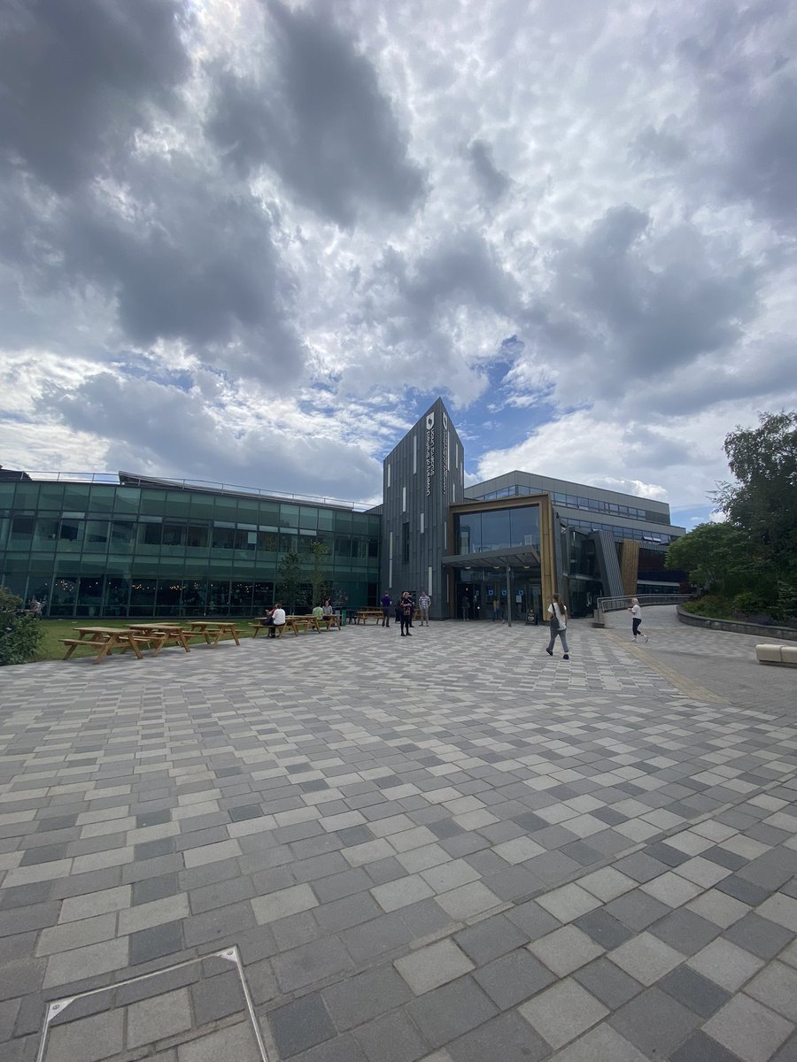 Matt Wall Native tweet media