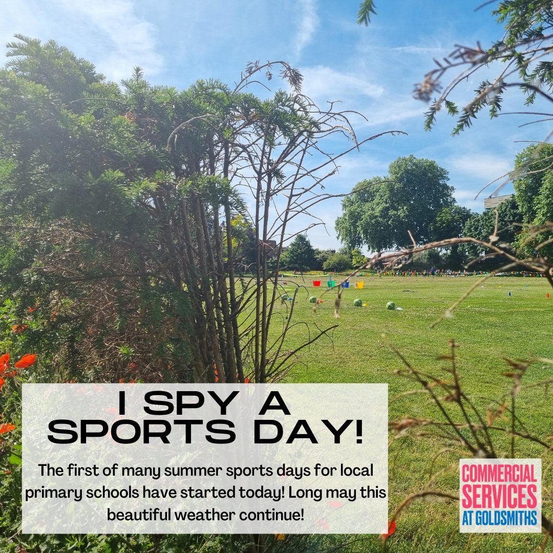 The first of many primary school sports days is taking place on our beautiful College Green! And what a day they've got for it! ☀️ 

#summerishere #heatwave #summer #sportsday