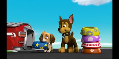 PAW Patrol Skase Fan Page on X: Daily Chase X Skye Chase and Skye