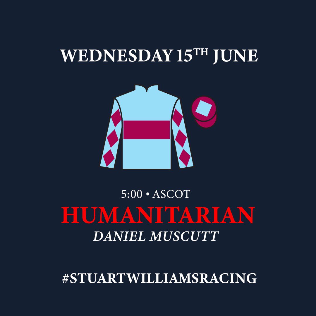 Humanitarian heads to Ascot today for the Royal Hunt Cup at 5pm. He will be ridden by Daniel Muscutt for owners Craft Thoroughbreds And Partners 🏇

#TeamDiomed #SWRacing #RoyalAscot