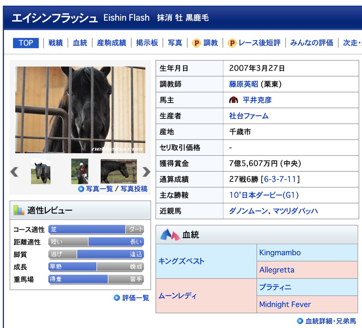 エイシンヒカリ……A Shin Hikari エイシンフラッシュ……Eishin Flash